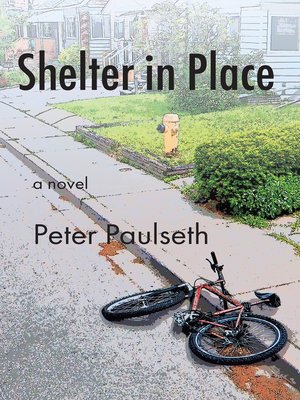 cover image of Shelter in Place